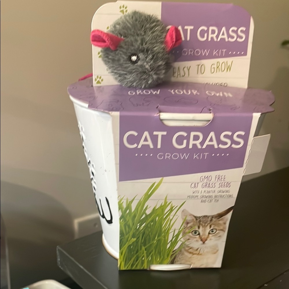 Gray and Green Plush Cat Toy with Adorable Eyes